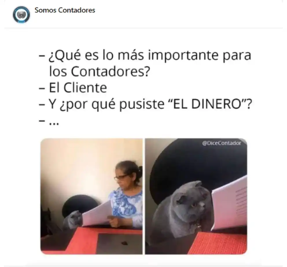 Memes contables