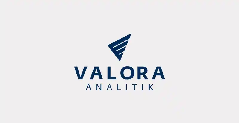 Logo Valora Analitik 